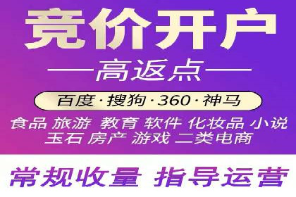 某科技公司的信息流广告投放策略与效果评估