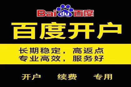 SEM服务公司助力电商增长案例